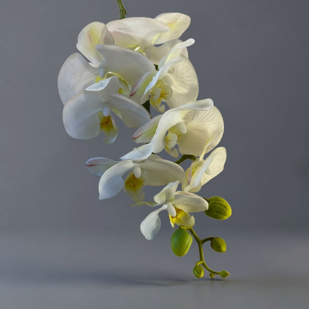 Planta artificial