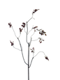 Planta artificial