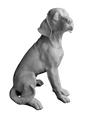 Estatua de Labrador