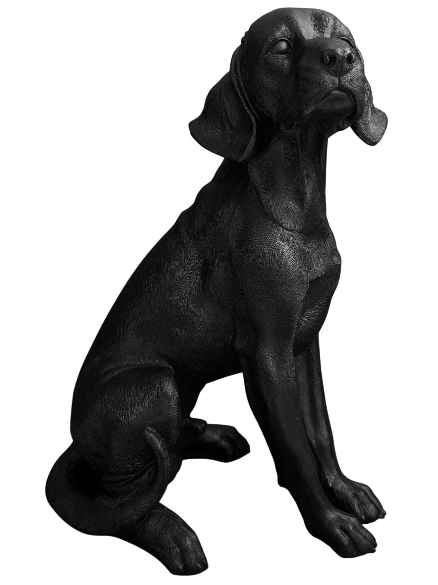 Estatua de Labrador